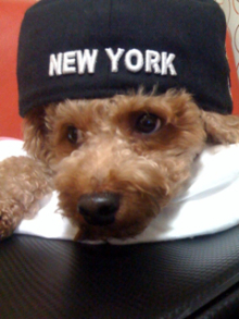 kazu_dm's profile picture. Kudo Kazuki 1990.10.25♂ Japan/Fukuoka/Hiroshima Follow me!!