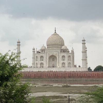 stocks4v's profile picture. 