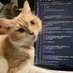 Anthony Chiu (@kingychiu) Twitter profile photo Anthony Chiu (@kingychiu) Twitter profile photo