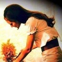şivekâr (@gemizem) 's Twitter Profile