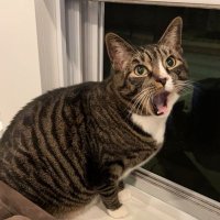 Mr. Wehfu (@mrwehfu) Twitter profile photo
