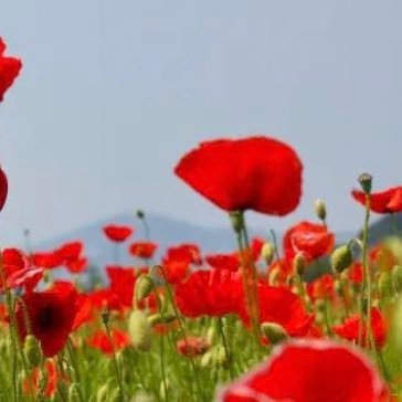 Myeays__'s profile picture. 