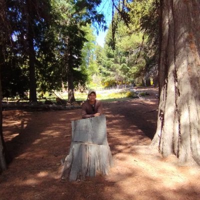 ealeks26's profile picture. Entro a veces a Twitter para ver qué pasa en el mundo.