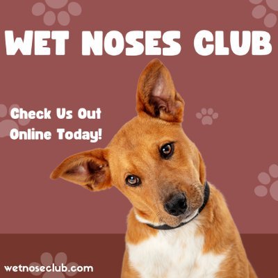 Wet Noses Club