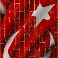 SosyalÖğretmen (@sosyalogrettmen) 's Twitter Profile