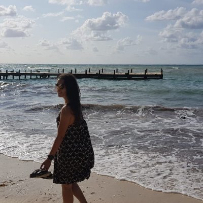 IFRC Maputo Program Manager - all views are mine.