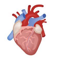 استشاري أمراض القلب و الشرايين