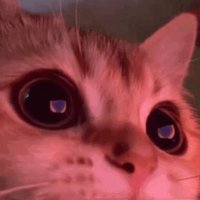 Drâyas (@dryasidas) 's Twitter Profile