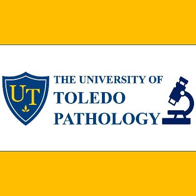 Official Twitter account of the Department of Pathology at The University of Toledo @UToledo.