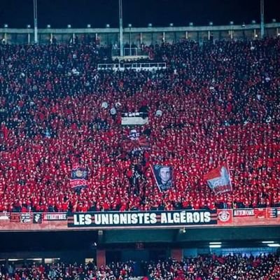 NBahdja19607's profile picture. 