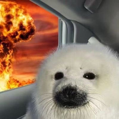 titan_gaols's profile picture. Babushka priv