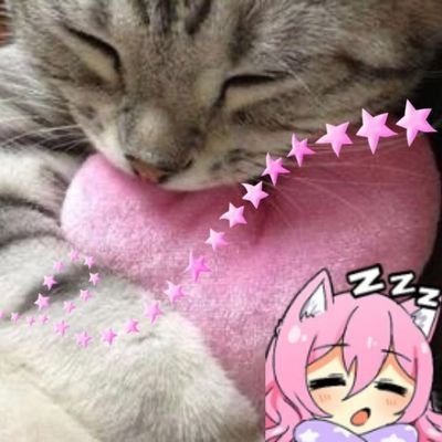 niniasleep's profile picture. 🐌