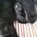 Kelly Rivers - @eelizabee - Twitter