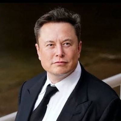 INTERACTIVE PAGE OF ELON MUSK