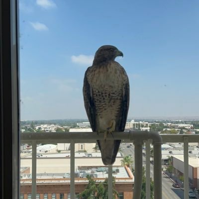 JaredCloud's profile picture. 