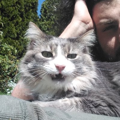 SorosRothschild's profile picture. Former Conspiracy theory factory/
Fake news profiteer turned 
Serendipitous options trader/
Fluffy feline riddled with riddles.