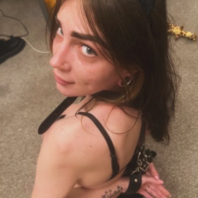 clouty8008's profile picture. I make horny content DM me for prices or subscribe https://t.co/rkhLkSXUjt or https://t.co/V0v22lKP5I instagram @cloutybear69
