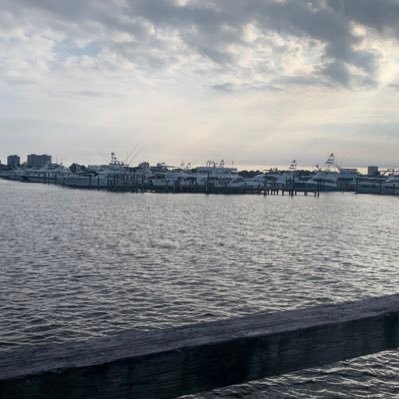 lrb668's profile picture. Servant of Jesus Christ    Romans 10:9