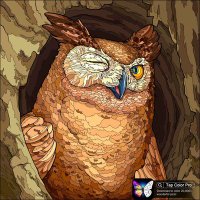 Loreena Faircloth (@loreenaf68) 's Twitter Profile