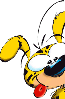 _Ciska_'s profile picture. Binturong | Zoo | Books| Software Development | Me