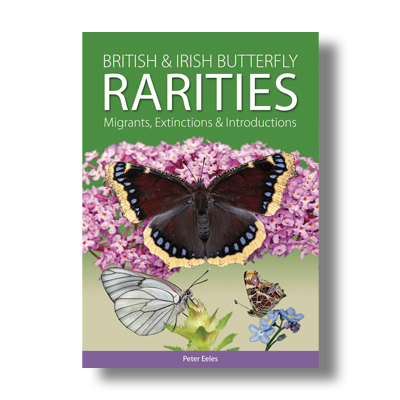 UK Butterflies is a community website providing comprehensive information on all butterfly species in Britain & Ireland. Posts by Pete Eeles.