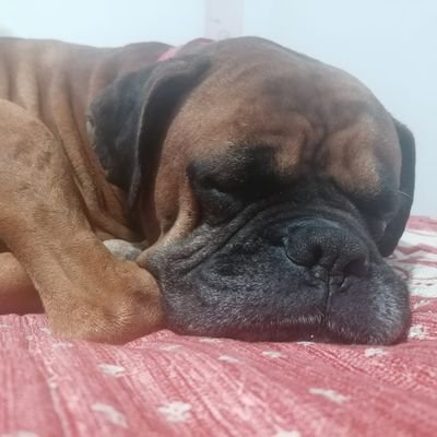 zeusmoniyohiane's profile picture. 