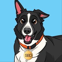 sbdflydog(@sbdflydog) 's Twitter Profile Photo