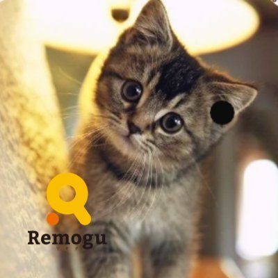 Remoguの広報
エンジニアさん向け・WEBデザイナーさん向けのリモート案件をご紹介しております✨
東京住み / 元SE / 食べることが大好き🍳
無言フォロー失礼します🌸