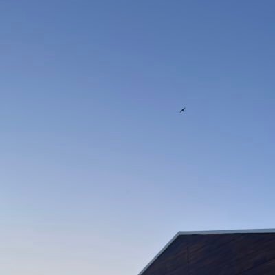 alejakobieta's profile picture. currently on and off.