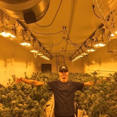 Cannabis Cultivation (Grower) in Denver . #God|#Family|#SquidGrow|#Crypto|#DenverNuggets|