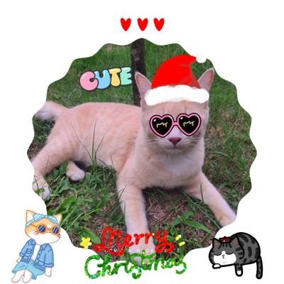 KJujiw Profile Picture