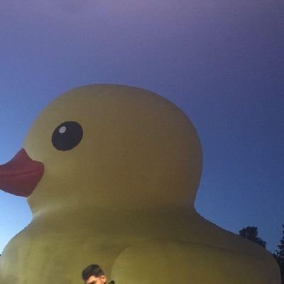 MillingPaulito's profile picture. 