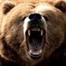 a bear (@BearEatsMan) Twitter profile photo