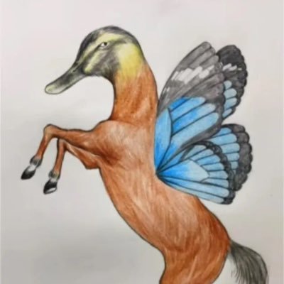 BitBlitzX's profile picture. 