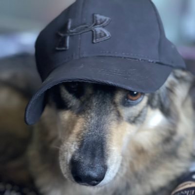 RamuduNikesh's profile picture. https://t.co/IN2EktOUXZ