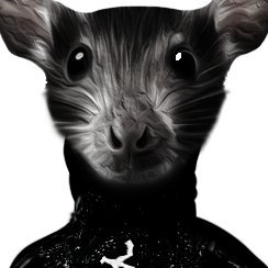 DireXisss's profile picture. @ODYisland
@EXXCLUSlVE