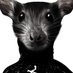 DireXis (@direxisss) Twitter profile photo DireXis (@direxisss) Twitter profile photo
