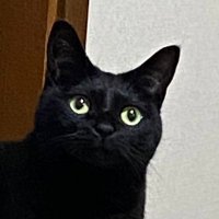 ナッツ (@zykcd730) 's Twitter Profile