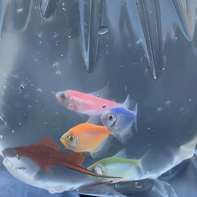 inemomoney's profile picture. inshallah he finds some