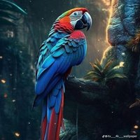 gazebo (@albertguna19549) 's Twitter Profile