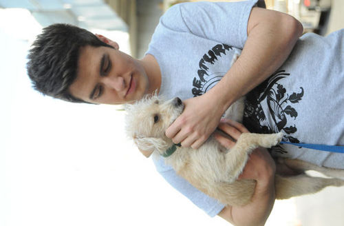 LoganDreams's profile picture. Hey this is owner @AdoreULogan and co-owner @BigTimeRAWRR! we make #imagines about BTR! true #Rushers!! we love @BigTimeRush!! ♥