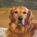 Value Add Dude (@madvalueadd) Twitter profile photo Value Add Dude (@madvalueadd) Twitter profile photo