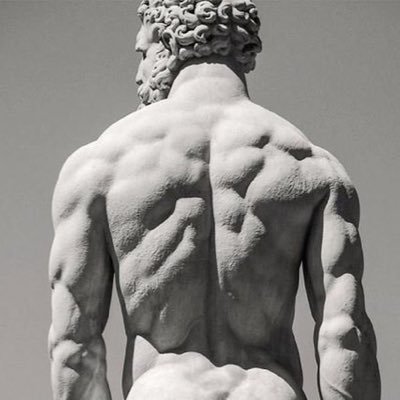 an exploration into the fitness world Follow to learn ways to achieve the Greek physique and become a better man (or woman)
