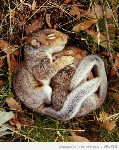 fjmartincubino's profile picture. 