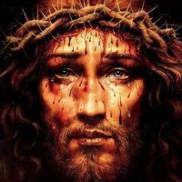 🇻🇦CATHOLIC_ FAITH _ONLINE 🇻🇦 (@imago_dei_3) 's Twitter Profile