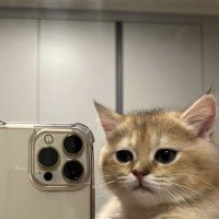 。・°°・v e r a・°°・ 。 (@feverkgs) 's Twitter Profile Photo 。・°°・v e r a・°°・ 。 (@feverkgs) 's Twitter Profile Photo