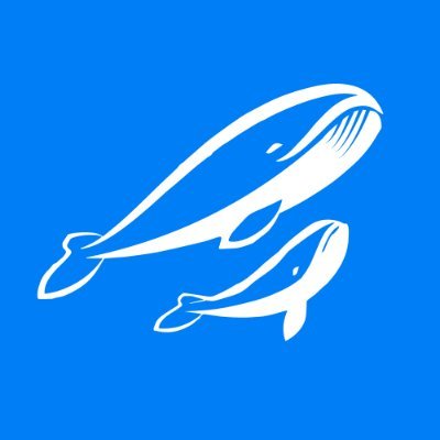 Analyze and copy-trade whales across all DEXs.
Discover new Gems and become the next whale.

Available on #Ethereum, #Base and #BSC.

https://t.co/ZLGJlYpsZ3