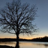 KP (@kpivaral12) 's Twitter Profile