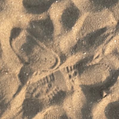 conneoz's profile picture. 