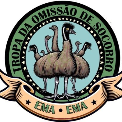 WanderleyTx's profile picture. +5531